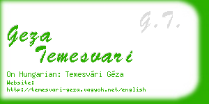 geza temesvari business card